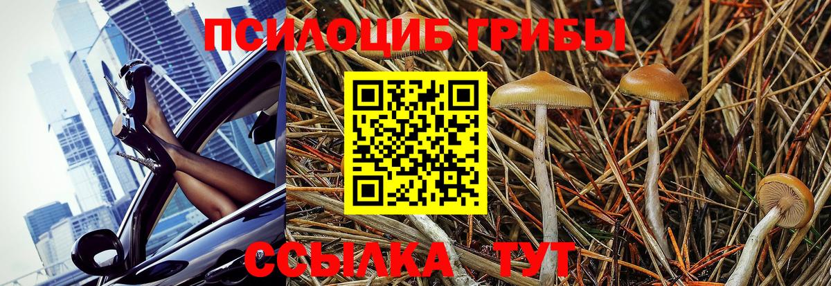 Псилоцибиновые грибы Psilocybe  Вход с VPN  Пыть-Ях  Псилоцибиновые грибы мухоморы 